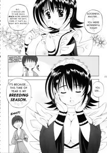 Page 21 of Iroha ni Hoheto - preview thumbnail