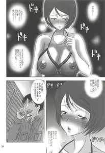 Page 23 of ISHIZAWA 04 - preview thumbnail