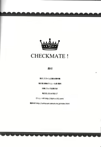 Page 25 of CHECKMATE! - preview thumbnail
