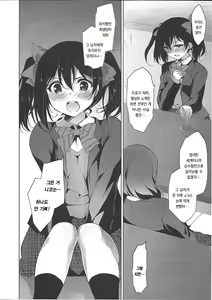 Page 17 of MAKIPET8 - preview thumbnail