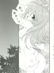 Page 161 of CONSERVATION - preview thumbnail