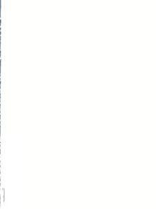 Page 8 of CONSERVATION - preview thumbnail