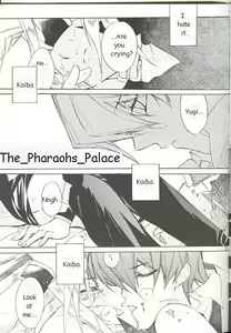 Page 20 of Telephone Line Redial - preview thumbnail