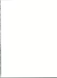 Page 2 of Daisy Lights - preview thumbnail