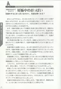 Page 45 of やらなくても解る性交と妊娠詳細解説 赤ちゃんのつくり方 - preview thumbnail