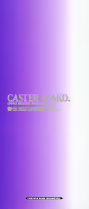 Page 4 of Caster Ayako 3 - preview thumbnail