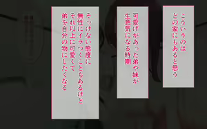 Page 3 of JK Nee-chan Otouto Doutei Chinpo ni Do Hamari-chuu - preview thumbnail