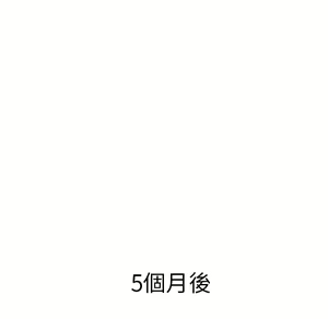 Page 731 of 继母 Chinese Rsiky - preview thumbnail