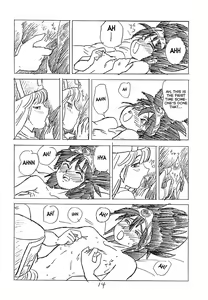 Page 13 of CUSTOMCHIP - preview thumbnail