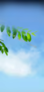 Page 902 of 亚哈路 第1季 - preview thumbnail