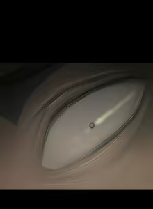 Page 1494 of 姐姐:莲 1-51 - preview thumbnail