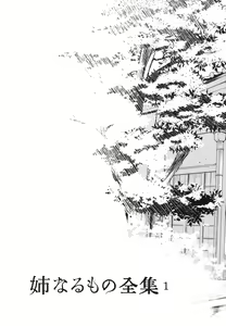 Page 4 of Ane Naru Mono Zenshuu 1 - preview thumbnail