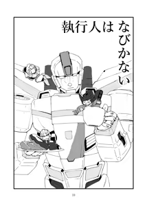 Page 4 of max X skyfire - preview thumbnail
