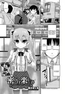 Hisokana Tanoshimi — hentai manga cover on Fhentai