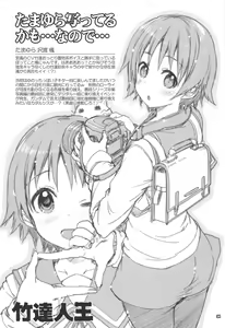 Page 33 of Shoukaku Tai Shoukaku Orihon Matomebon 2 - preview thumbnail