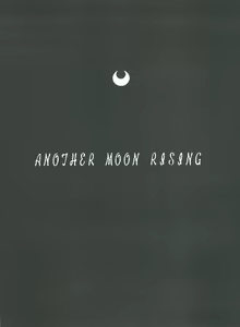 Page 3 of HABER EX VIII ANOTHER MOON RISING - preview thumbnail