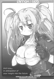 Page 14 of CLIMAX UCB - preview thumbnail