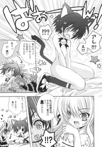 Page 46 of CARAMEL BOX - preview thumbnail