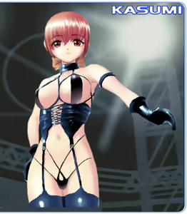 Page 84 of Kasumi Mania 2 - preview thumbnail