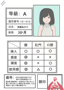 Page 64 of Mesubuta PV Audition ~Watashi no Koto, Kaimasen ka?~ - preview thumbnail