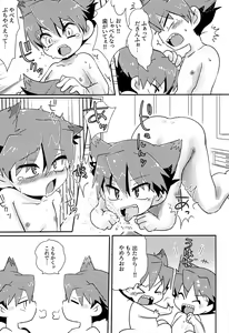 Page 20 of Twin training - preview thumbnail