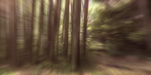 Page 1213 of Happiness! - preview thumbnail