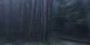 Page 1217 of Happiness! - preview thumbnail