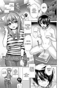 Domestic Dog — hentai manga cover on Fhentai