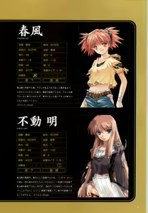 Page 40 of Daiakuji Official Guide - preview thumbnail