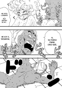 Page 17 of NAM VS RANFAN - preview thumbnail