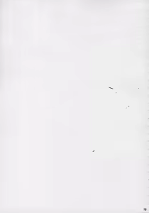 Page 114 of Toujin - preview thumbnail