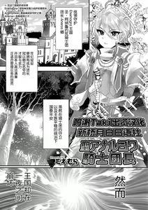 Sei Anaruyowa Kishi Danchou — hentai manga cover on Fhentai