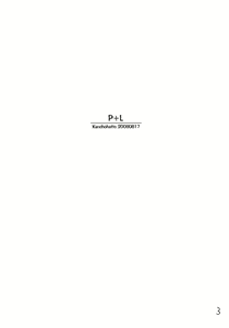 Page 2 of P+L - preview thumbnail