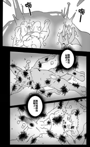 Page 17 of Slovakia - preview thumbnail