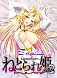 Netorare Hime — hentai manga cover on Fhentai