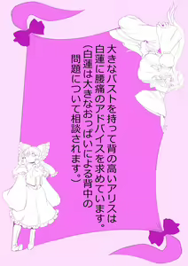 Page 12 of Touhou Pragmatizer Sono 20 - preview thumbnail