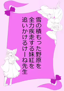 Page 24 of Touhou Pragmatizer Sono 20 - preview thumbnail