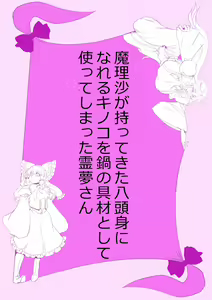 Page 27 of Touhou Pragmatizer Sono 20 - preview thumbnail