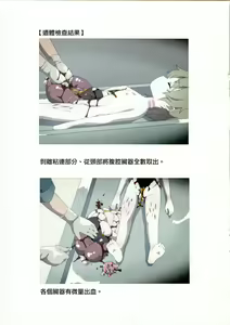Page 9 of Nishiogikubo Shoujo Satsugai Jiken Shihou Kaibou Kiroku - preview thumbnail