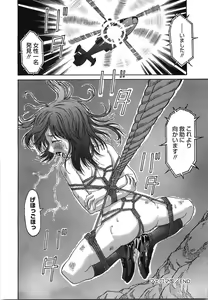 Page 89 of Feroma - preview thumbnail