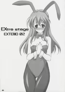 Page 2 of EXtra stage EXTEND 02 - preview thumbnail