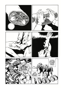Page 12 of Disc - preview thumbnail