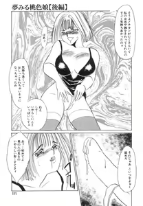 Page 109 of Suimitsutou no Yume - preview thumbnail