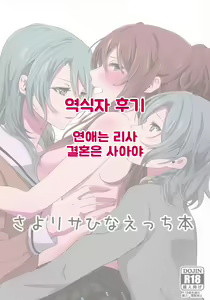 Page 18 of Sayo Lisa Hina Ecchi Bon | 사요리사히나야한책 - preview thumbnail