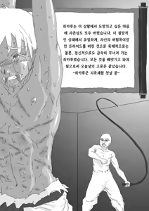 Page 21 of Hikaruden - preview thumbnail