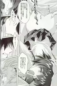 Page 19 of Gfestival - preview thumbnail