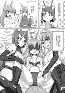 Page 13 of FOX MANIAX2 - preview thumbnail