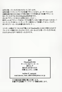 Page 31 of AssAssIN+M - preview thumbnail