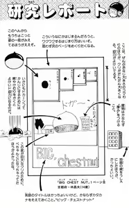 Page 135 of Akira Toriyama's HETAPPI Manga laboratory - preview thumbnail