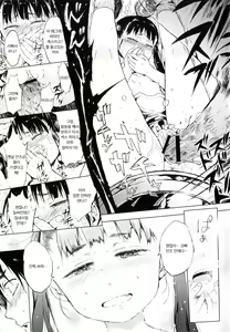 Page 17 of Toranoana Tokuten Mishuuroku Manga Sasshi Oshiawaseni! | 토라노아나특전 미수록만화책자 행복하시기를! - preview thumbnail